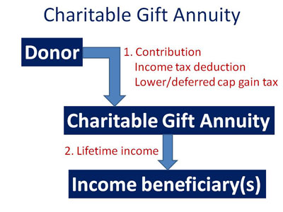 Why Use Charitable Gift Annuities Looking At Pros And Cons