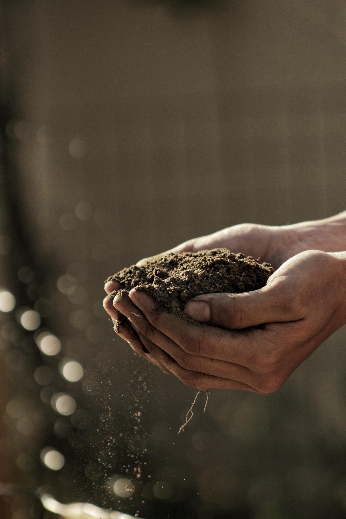 two hands holding a plant in soil with a green background, representing ethical investing and making a positive impact