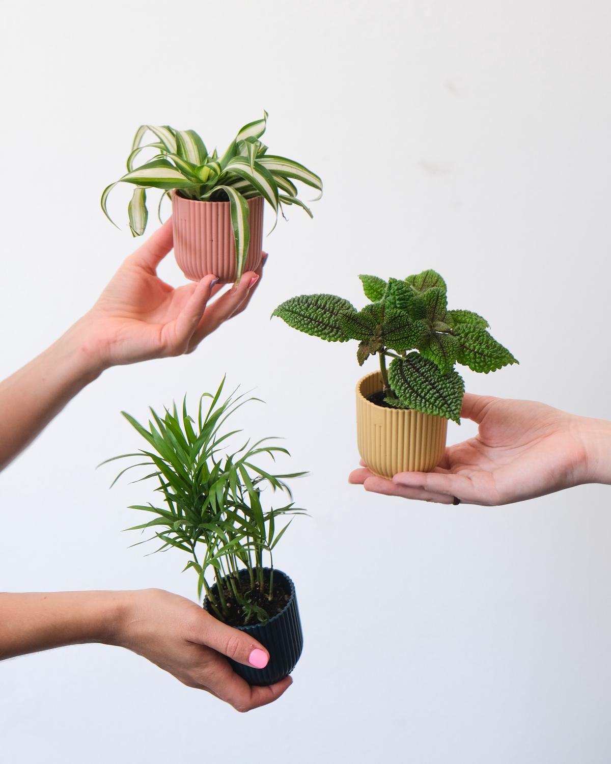 An image of several hands holding up green plants, symbolizing the positive impact of impact investing.