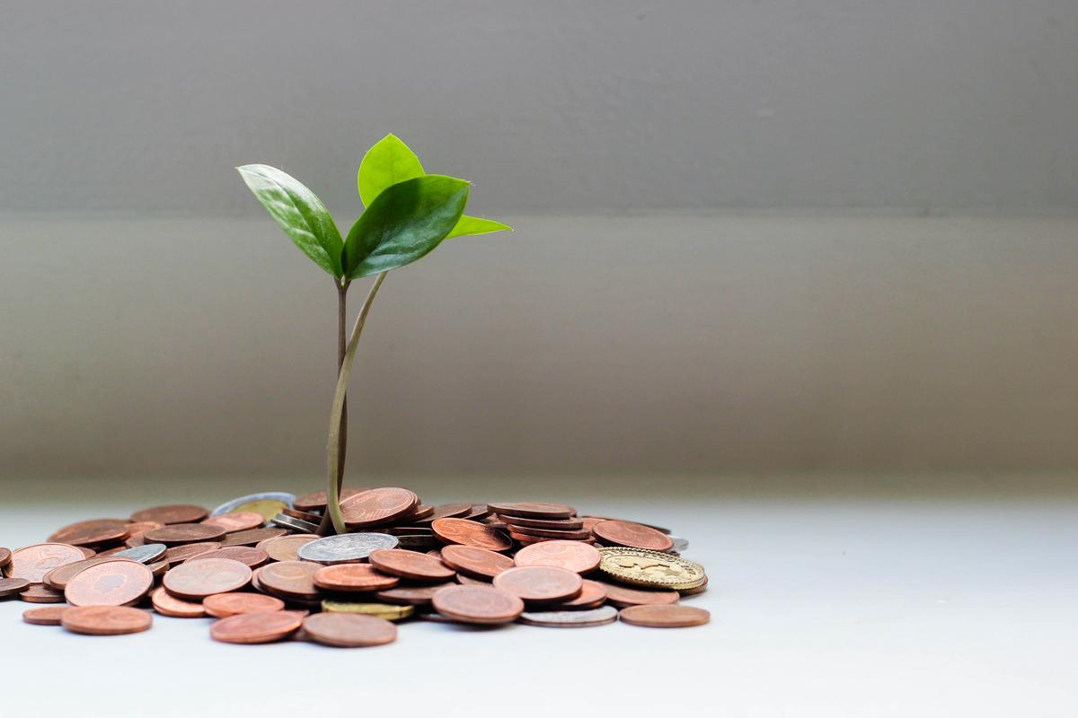 Photo of hands holding a small plant growing on a pile of coins, representing the concept of investing and compounding interest