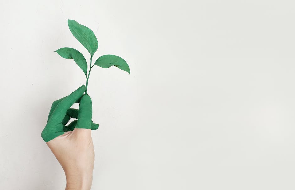 A picture of a hand holding a small plant, representing the growth and positive impact that impact investing can have on our society and environment.